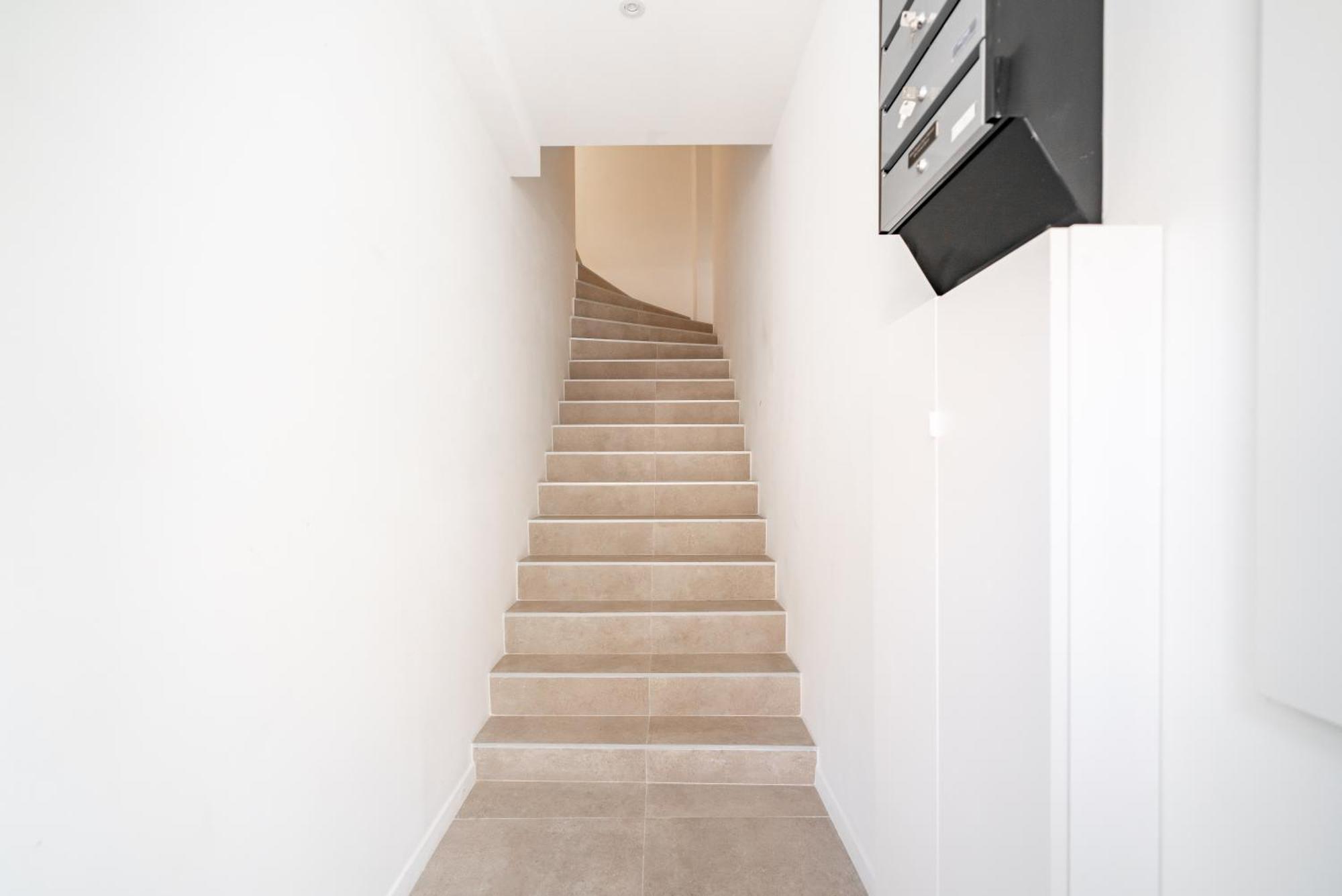 Design Elegant Apartment